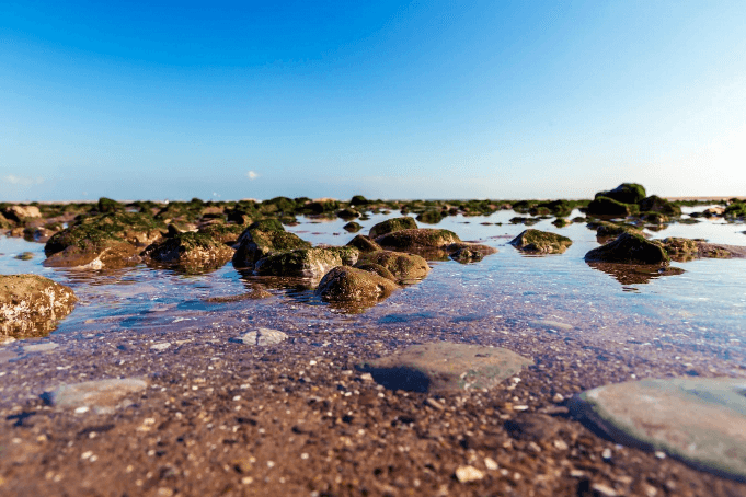 Outdoor Activities - Rockpool