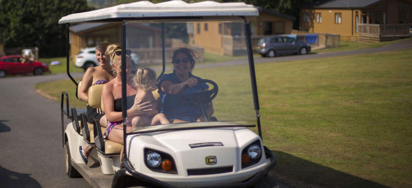 buggy cart at ladysmile