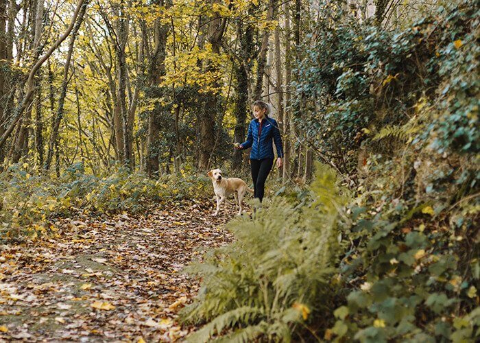 Hiking with your dog