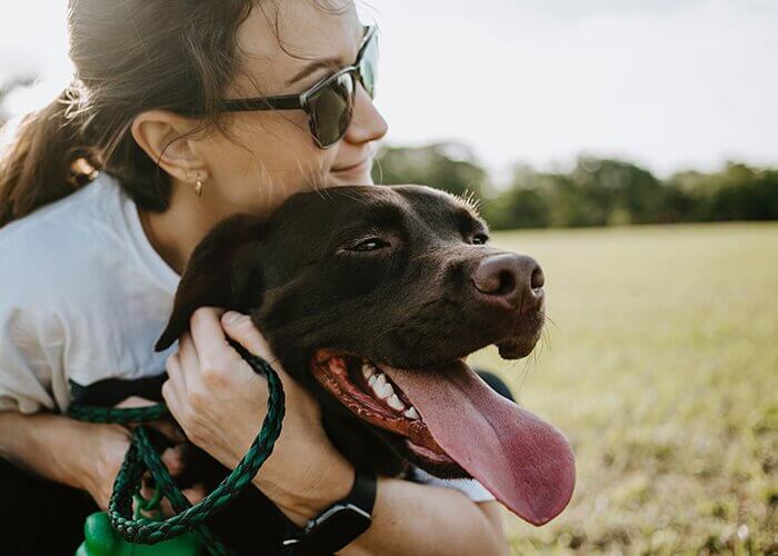 Flatter your happy dog with compliments