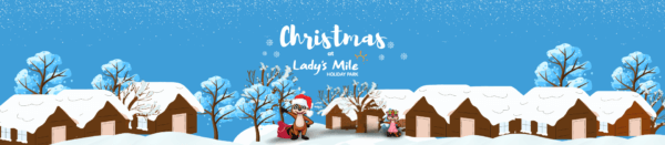 Christmas at Lady's Mile