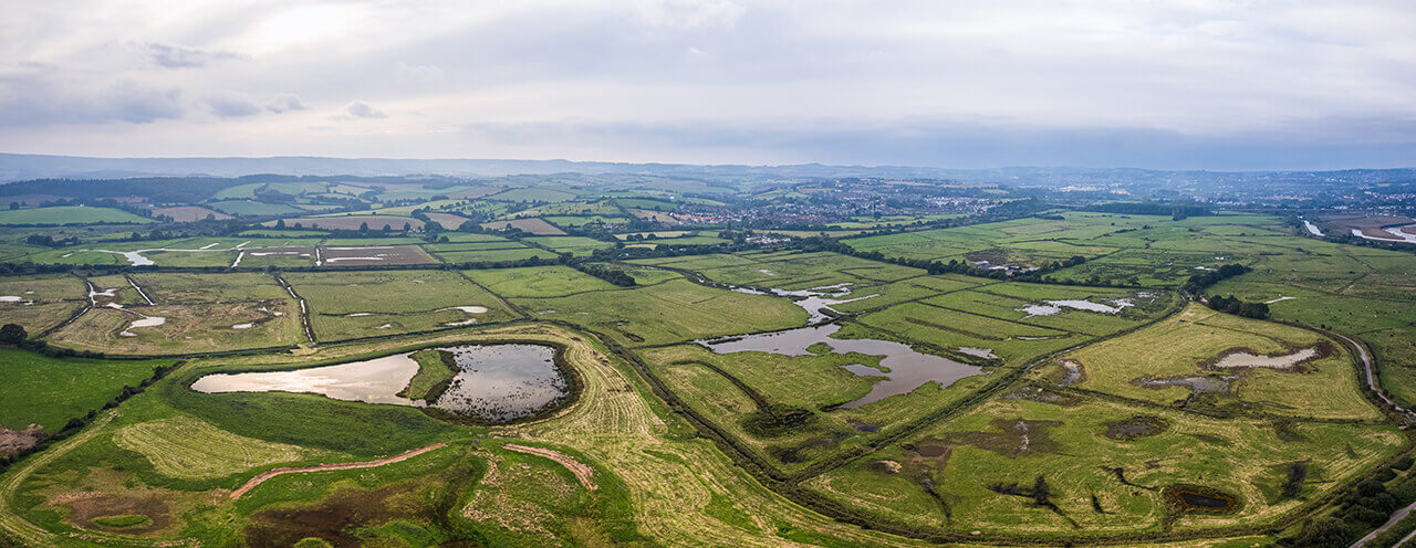 Local Nature Reserves - Exminster and Powderham Marshes