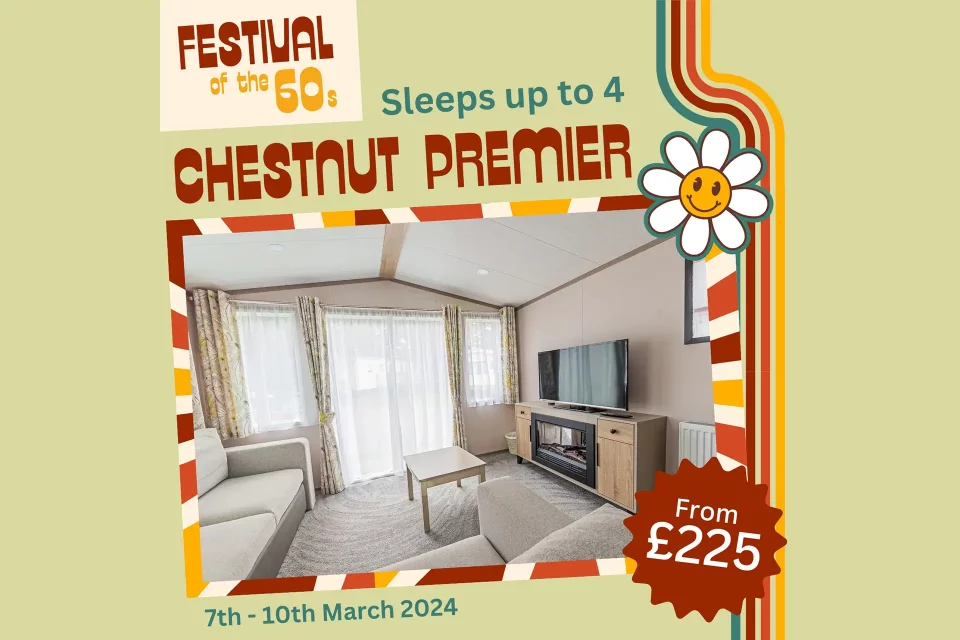 Chestnut Premier - Wide