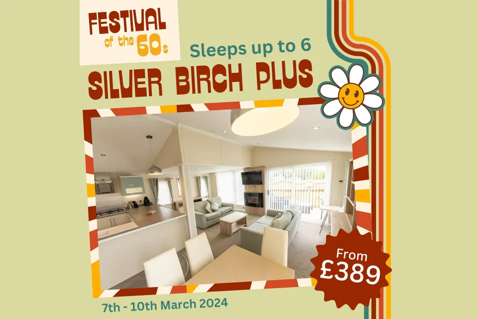 Silver Birch Plus - Wide