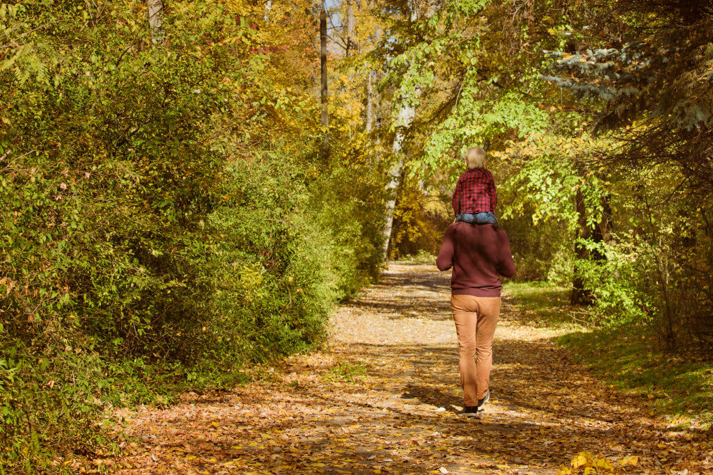 Father with son on his shoulders walking in the autumn forest. Back view