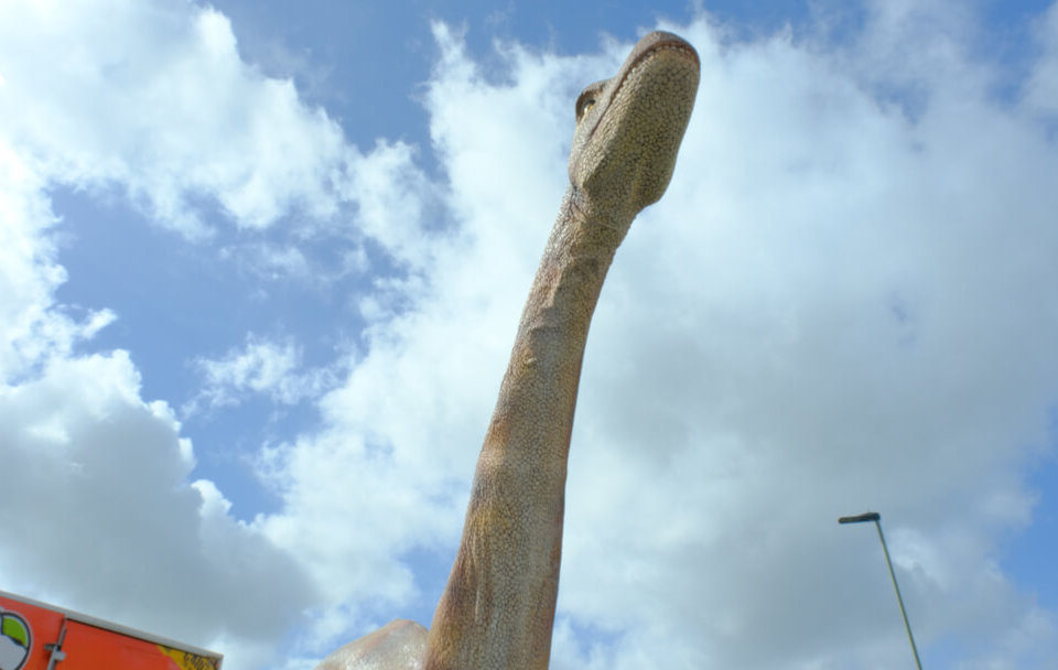 Dinosaur Weekend - RentADino